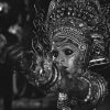 Photography